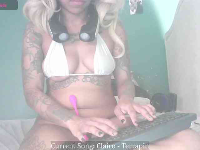 stella-clitella webcam