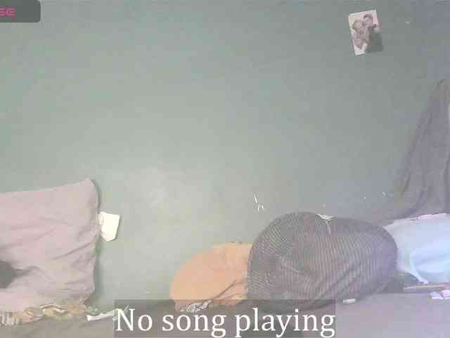 stella-clitella webcam