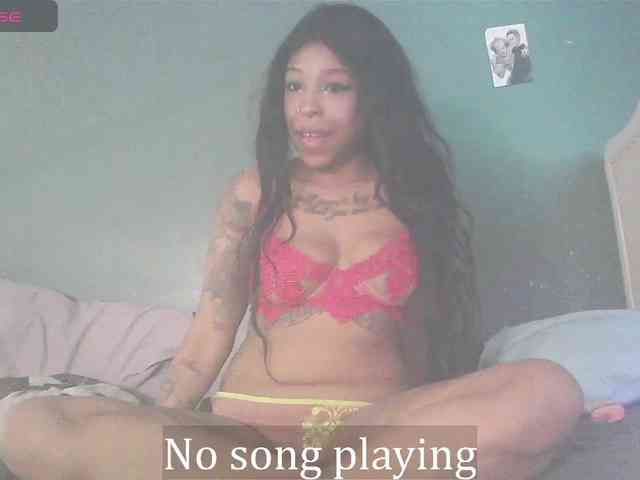 stella-clitella webcam