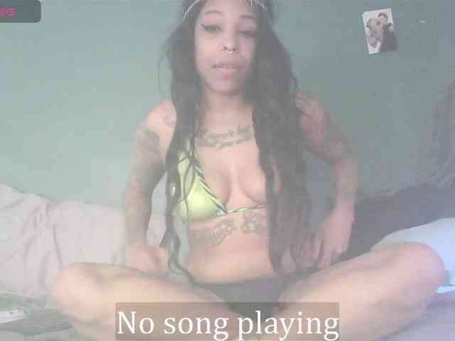 stella-clitella webcam