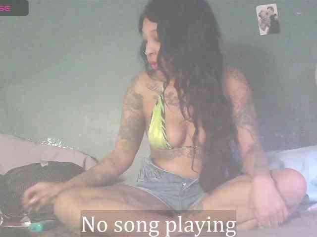 stella-clitella webcam