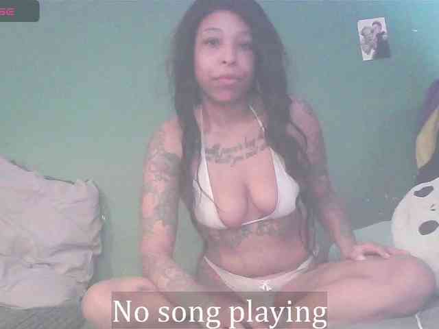 stella-clitella webcam