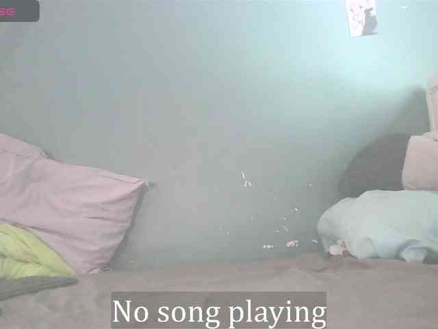 stella-clitella webcam