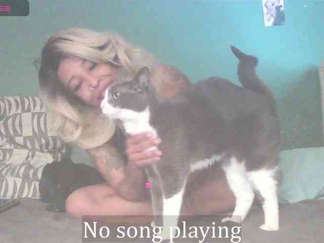 stella-clitella webcam