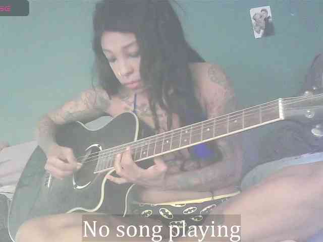 stella-clitella webcam