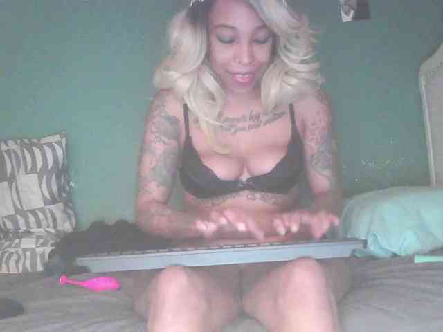 stella-clitella webcam