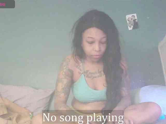 stella-clitella webcam