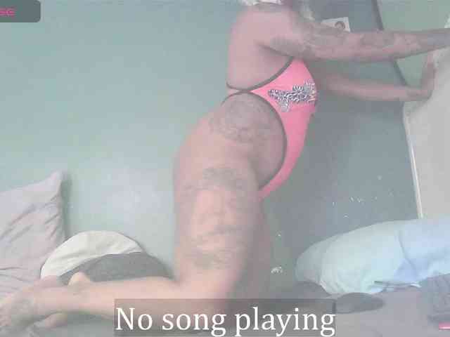 stella-clitella webcam