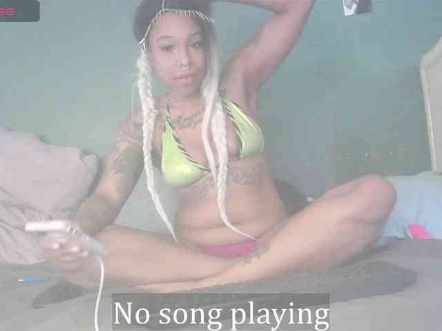 stella-clitella webcam