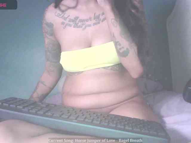 stella-clitella webcam