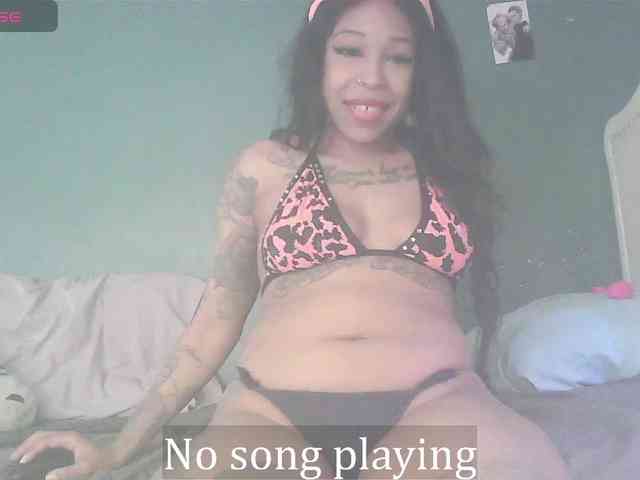 stella-clitella webcam