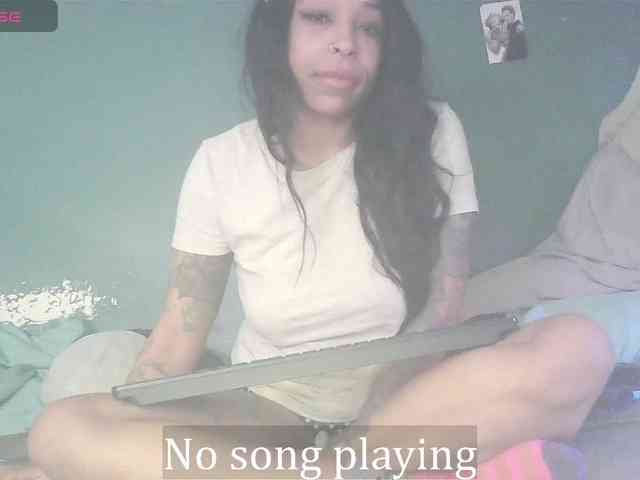 stella-clitella webcam