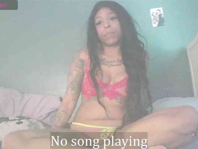 stella-clitella webcam