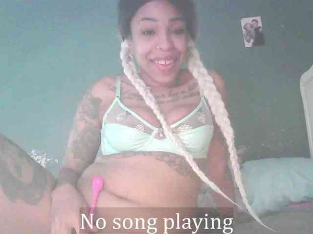 stella-clitella webcam