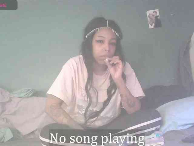 stella-clitella webcam