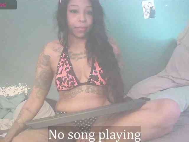 stella-clitella webcam