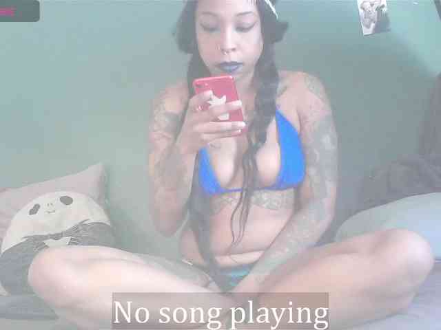 Stella-Clitella webcam