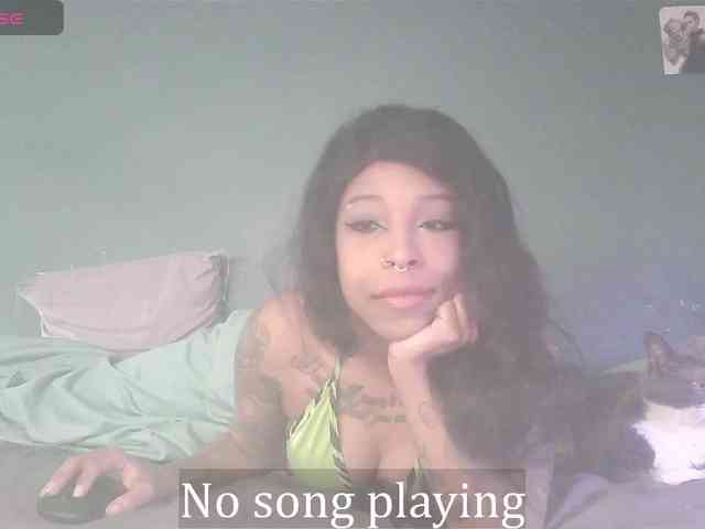 stella-clitella webcam