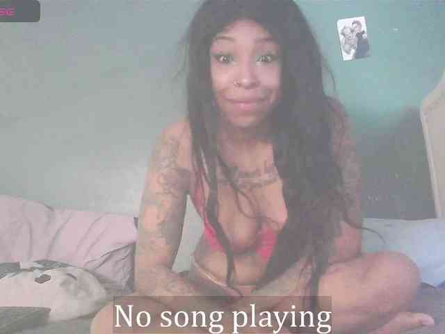 stella-clitella webcam