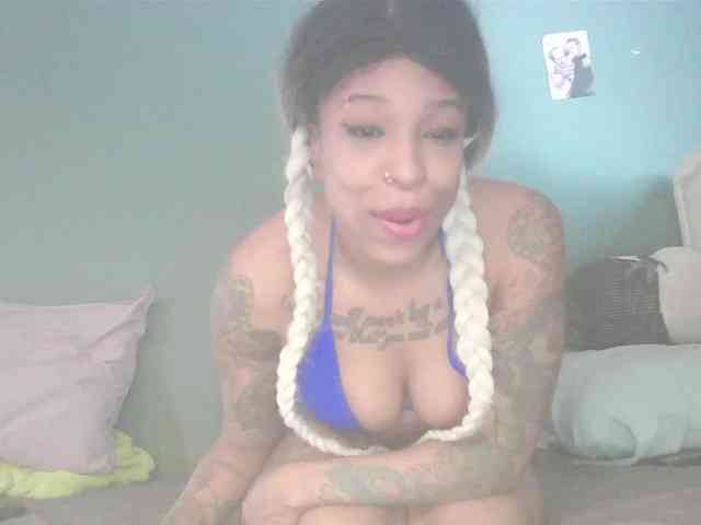 stella-clitella webcam