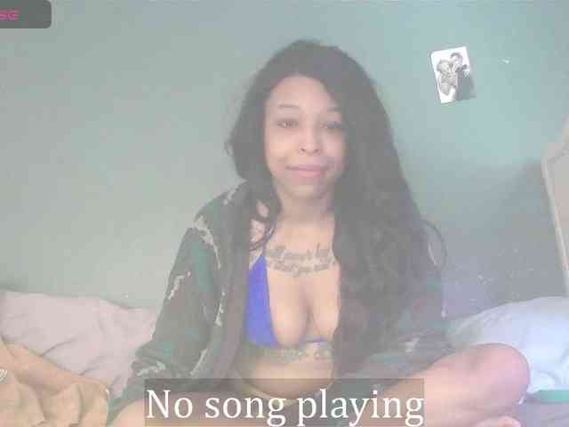 stella-clitella webcam