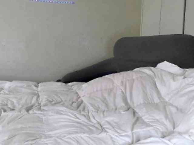 janemorris webcam