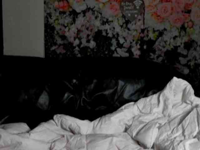 janemorris webcam