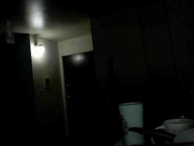 janemorris webcam
