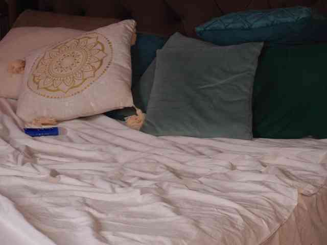 NixieGray webcam