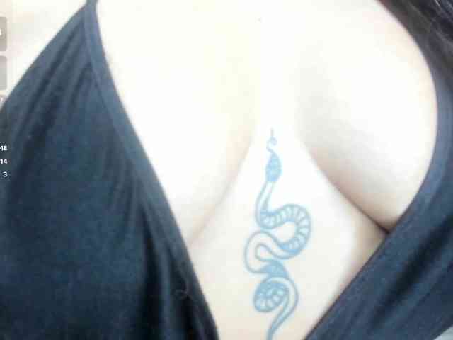 zully-arabb zully-arabb