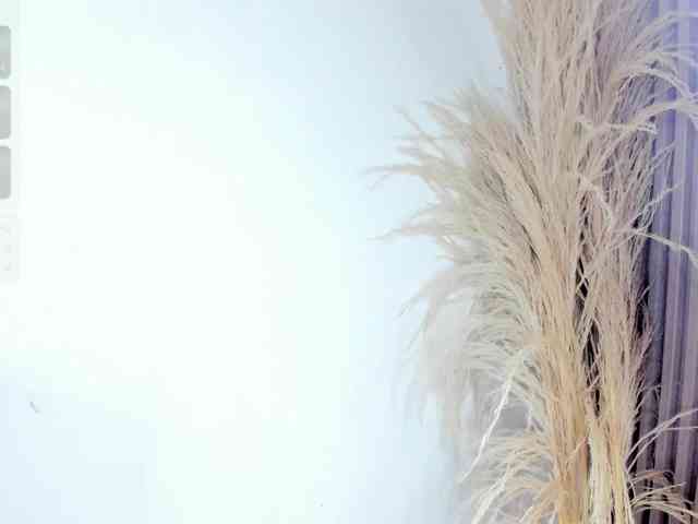 zully-arabb zully-arabb