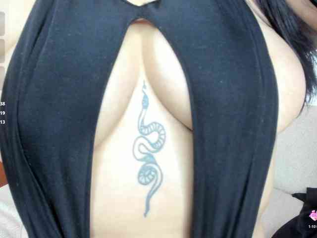 zully-arabb zully-arabb