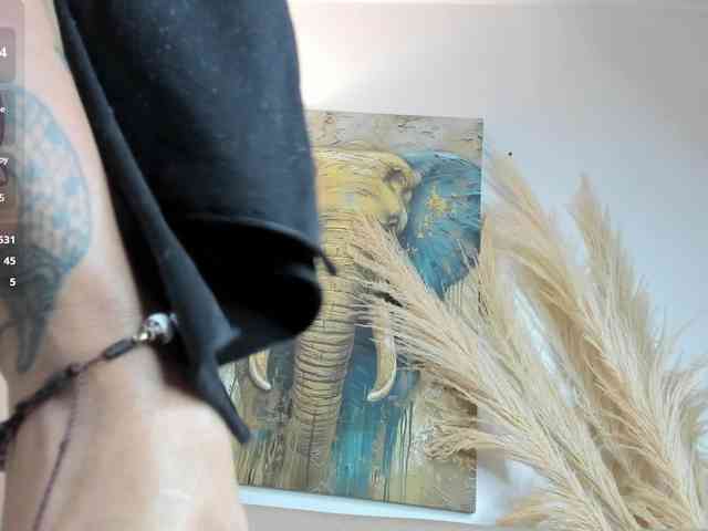 zully-arabb webcam