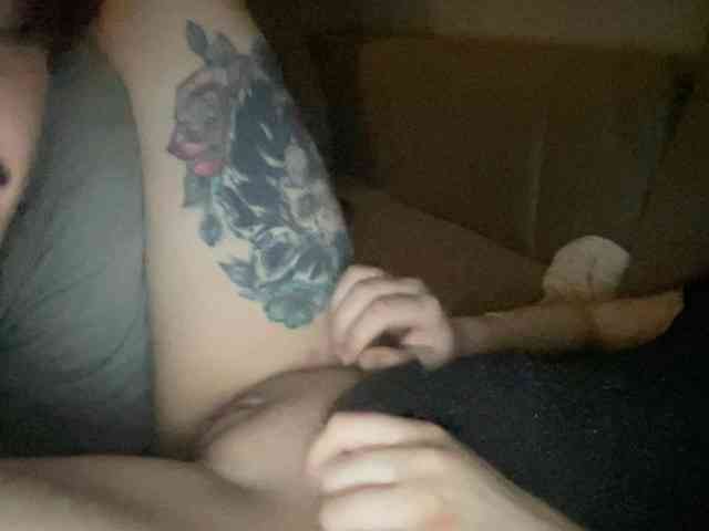 livesex cam Hellokitys
