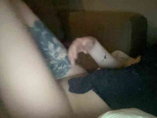 hellokitys