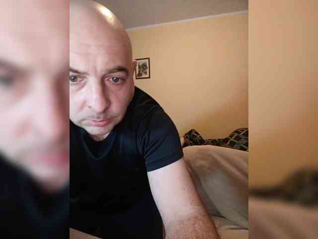 WerewolfAlfa WerewolfAlfa