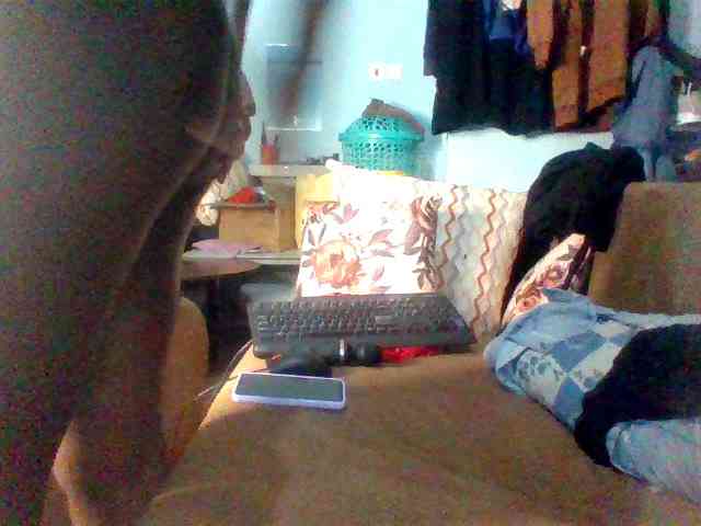 Success500 webcam