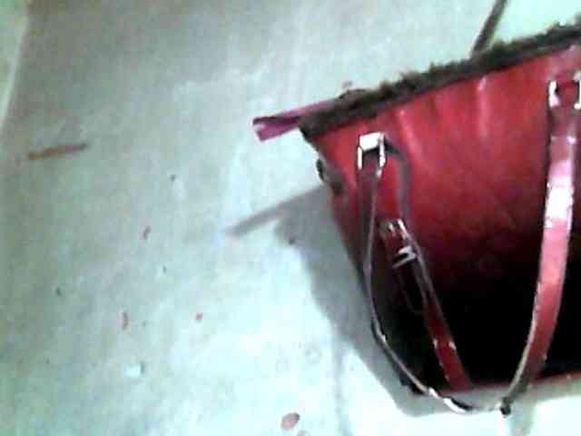 Allycha1 webcam