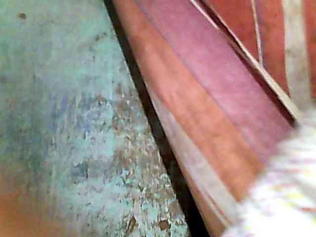 Allycha1 webcam