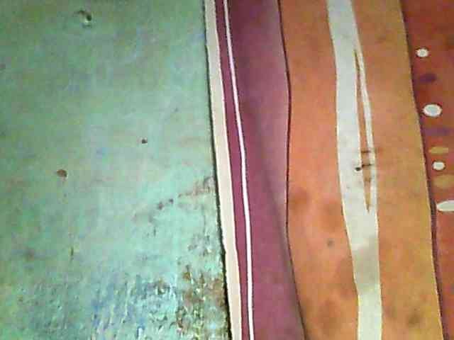 Allycha1 webcam