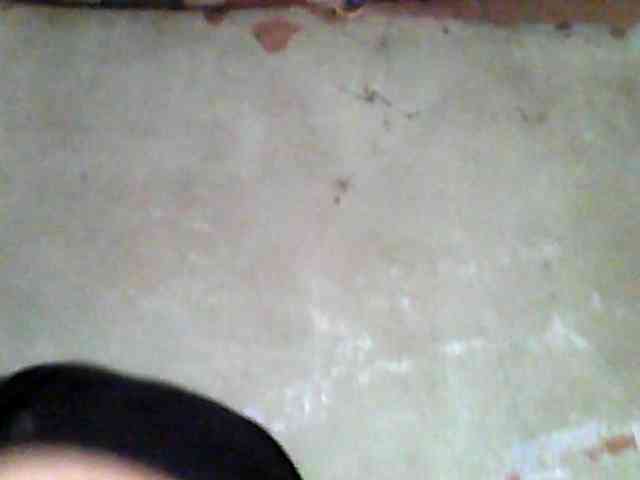 Allycha1 webcam