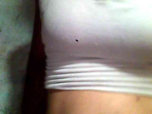 Allycha1 webcam