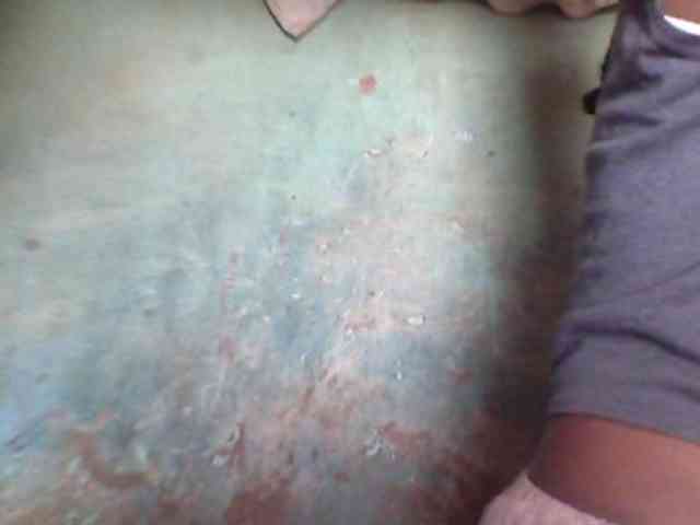 Allycha1 webcam