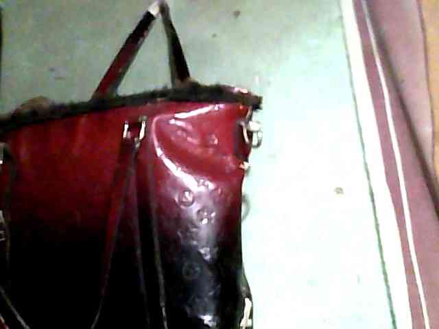 Allycha1 webcam