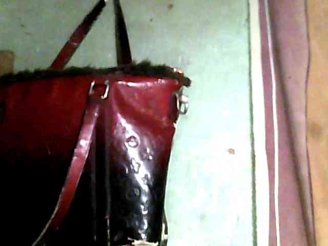 Allycha1 webcam
