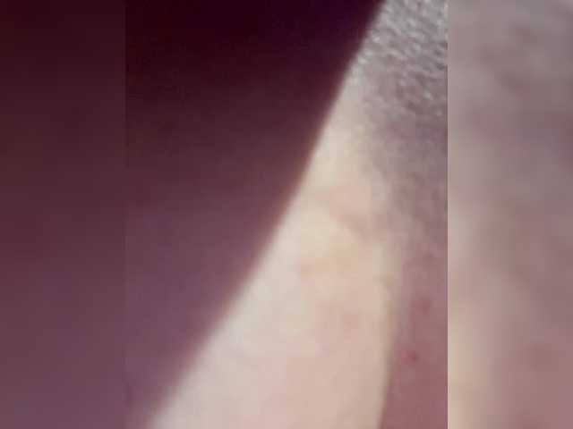 KotiMrrr