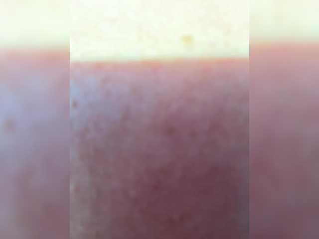 KotiMrrr