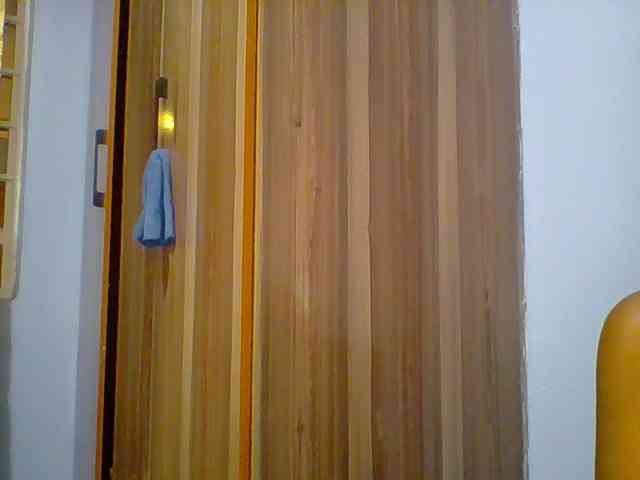 Sony-sonya webcam