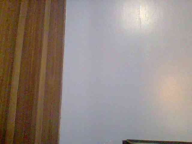 Sony-sonya webcam