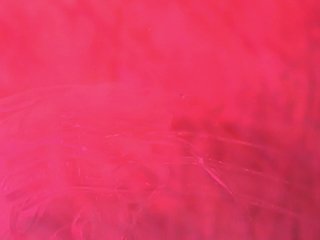 BellaNoirre Porn Show